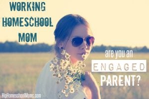 working homeschool moms