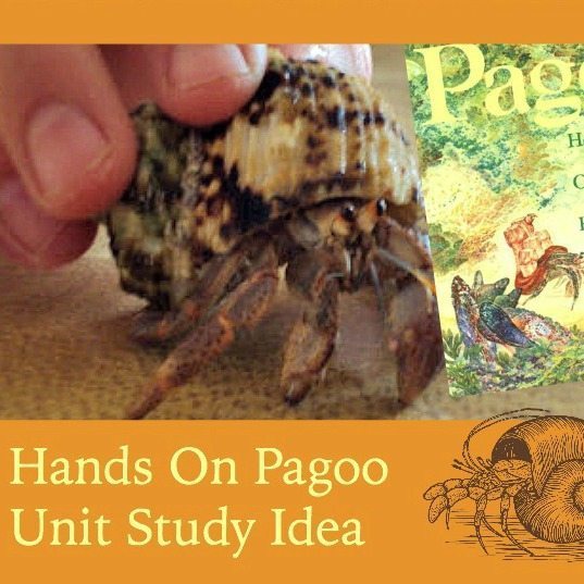 This is a fun and easy unit study on tide pools and sea life using the book Pagoo!