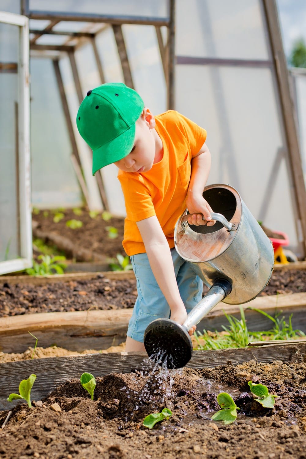 Learn math in the garden