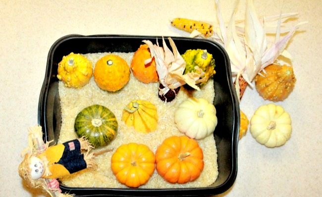 Fall Sensory Bins for Preschoolers