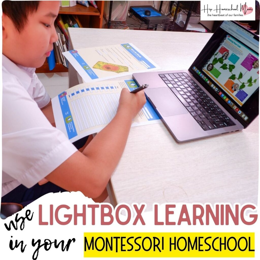 boy using lightbox learning