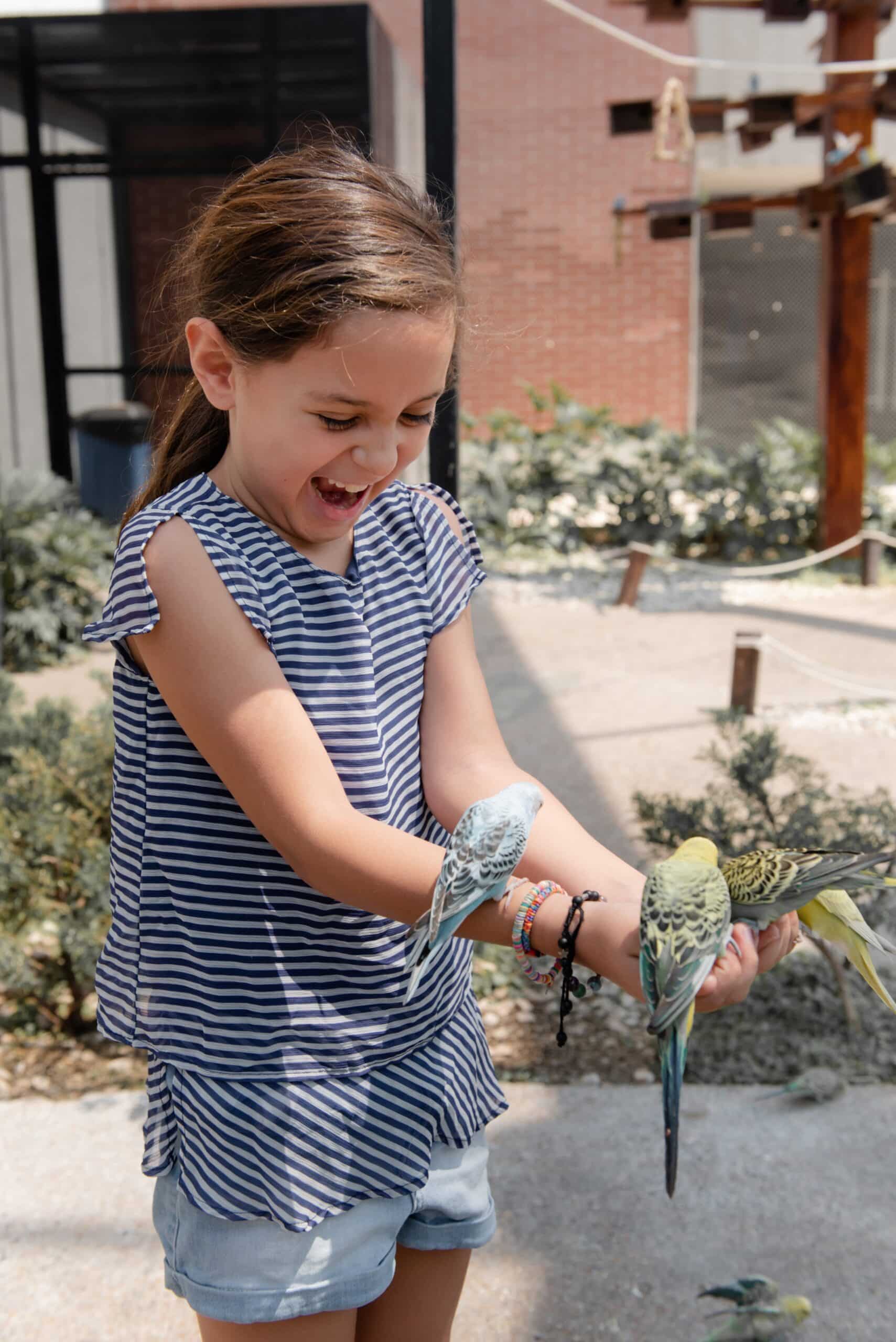 girl visiting zoo