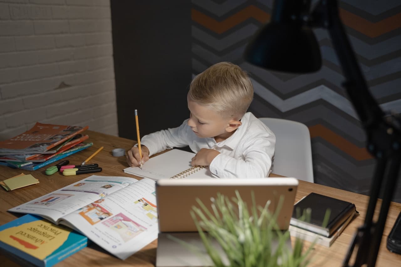 Unit studies - boy working on homework