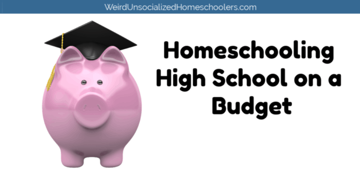 homeschooling high school on a budget