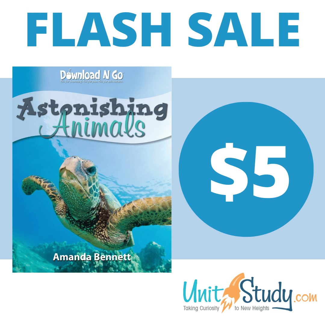 LIGHTNING DEAL ALERT! $5 Flash Sale for Astonishing Animals Study